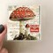 50PCS Vintage Mushroom Nature Stickers Pack – Transparent PET Fairycore Botanical Stickers for Journaling, Scrapbooking, Planners, Crafts & DIY Art Projects